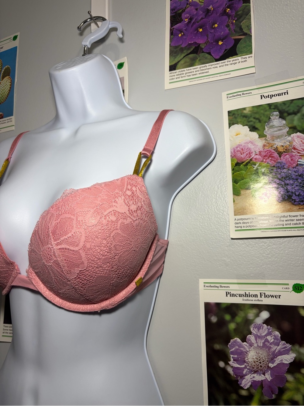 Victoria's Secret Lace Push-Up Bra in Dusty Pink - Picture 3 of 5
